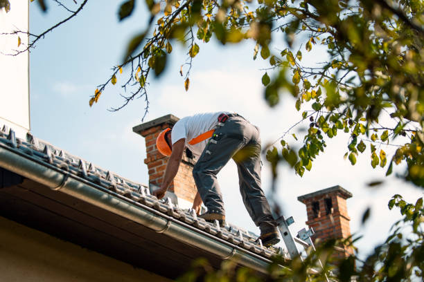 Best Residential Roof Replacement  in Grove City, FL