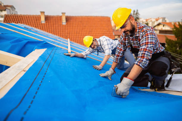 Best Flat Roof Repair Services  in Grove City, FL