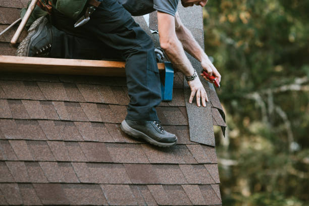 Best Shingle Roofing Installation  in Grove City, FL